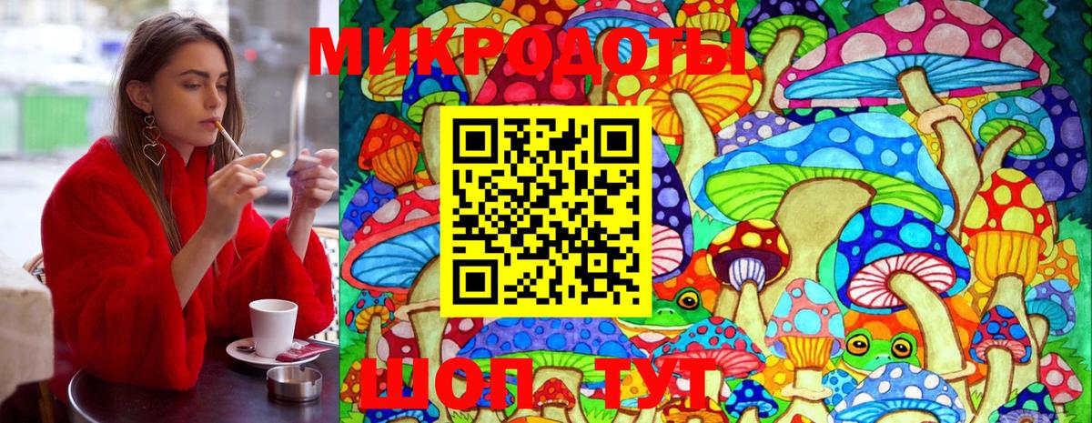 Галлюциногенные грибы Psilocybine cubensis Тейково