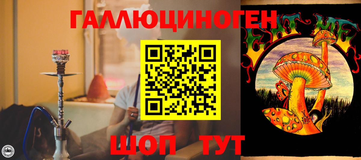 Галлюциногенные грибы Psilocybe  Вход с VPN  Галлюциногенные грибы Psilocybe  Тейково 